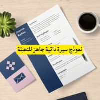 نموذج سيرة ذاتية جاهز للتعبئة (1)