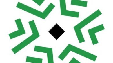 شركة الماسية